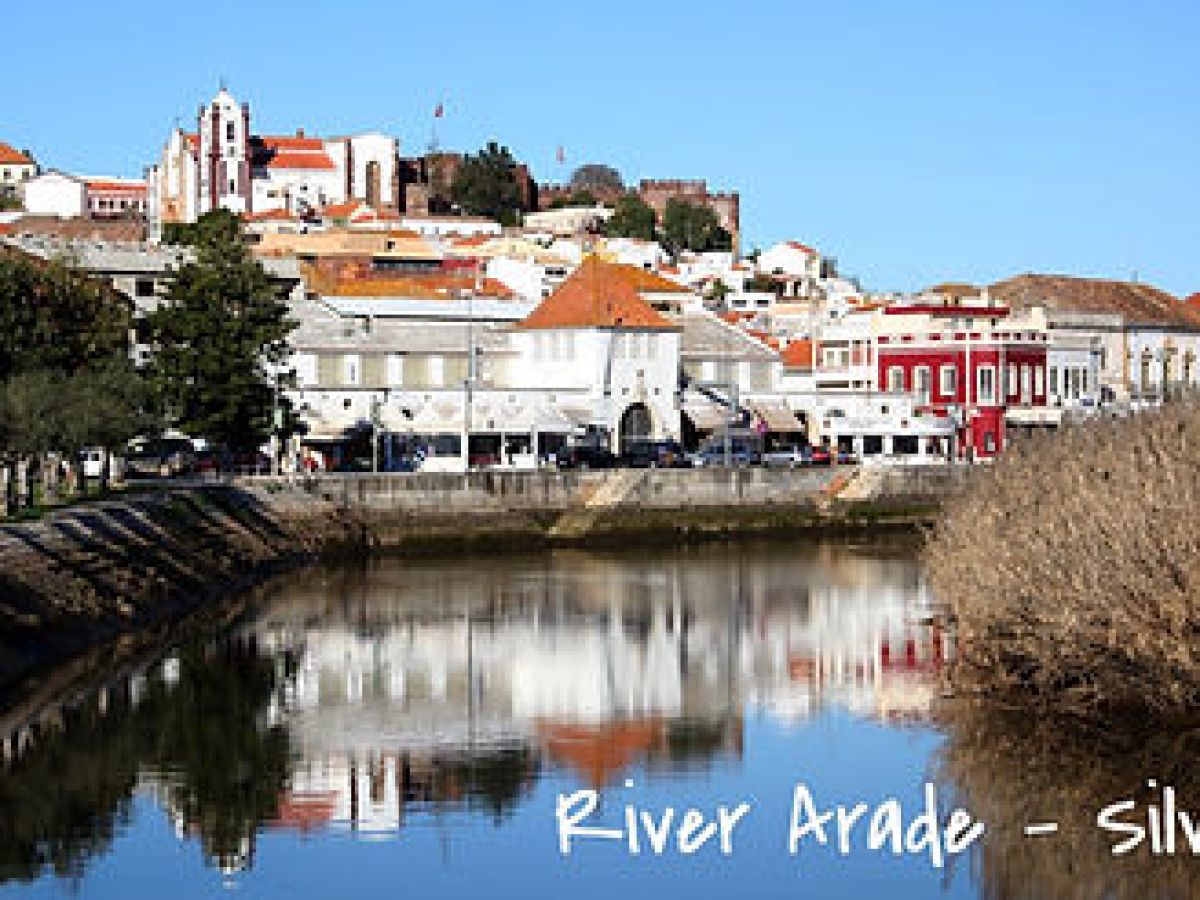 a river with a city in the background