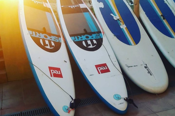 a row of surfboards sitting on a table